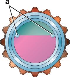 Регулировка уровня топлива карбюратора К-131